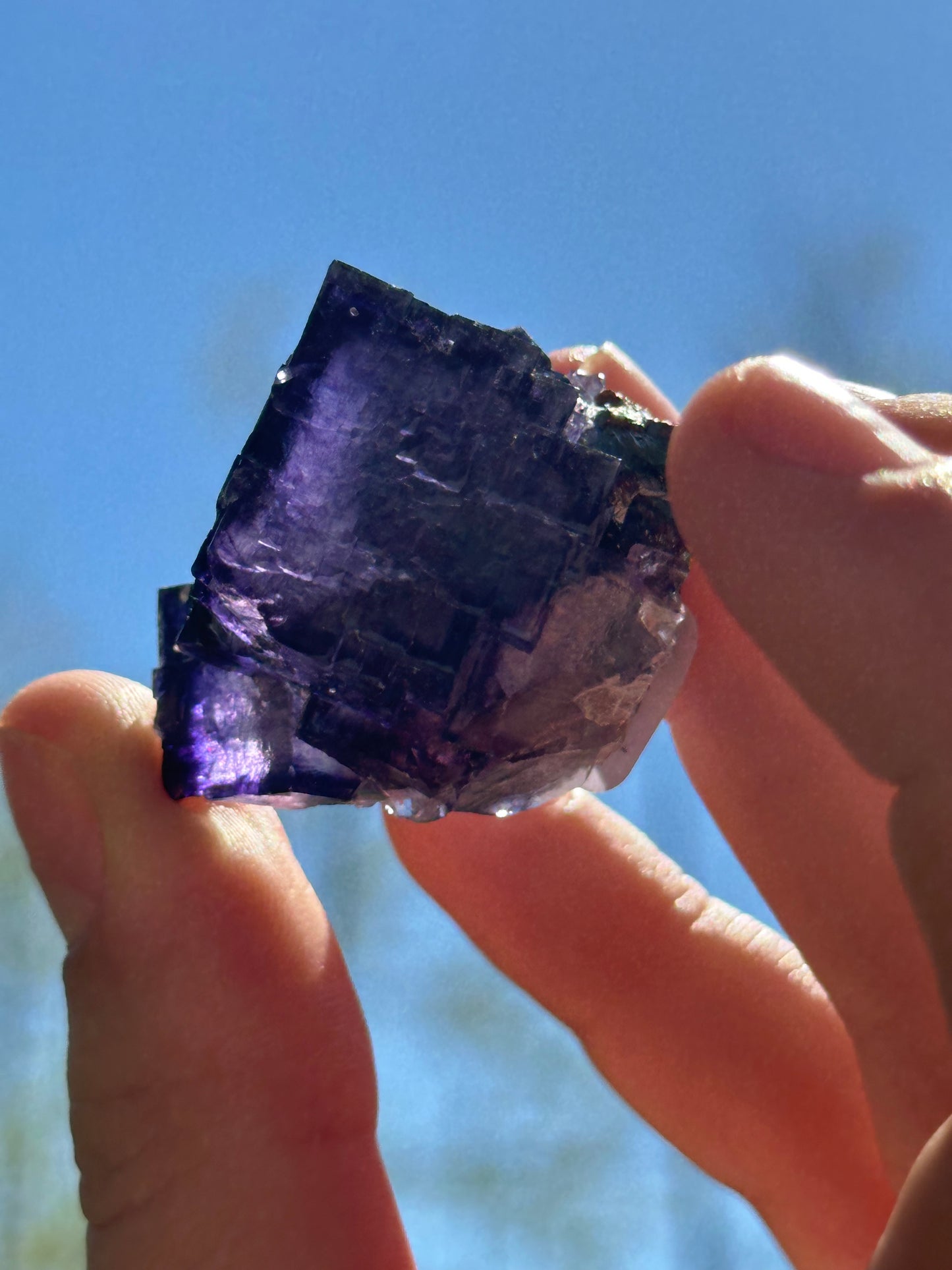 Elmwood fluorite