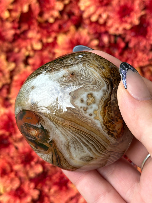 Sardonyx Palmstone