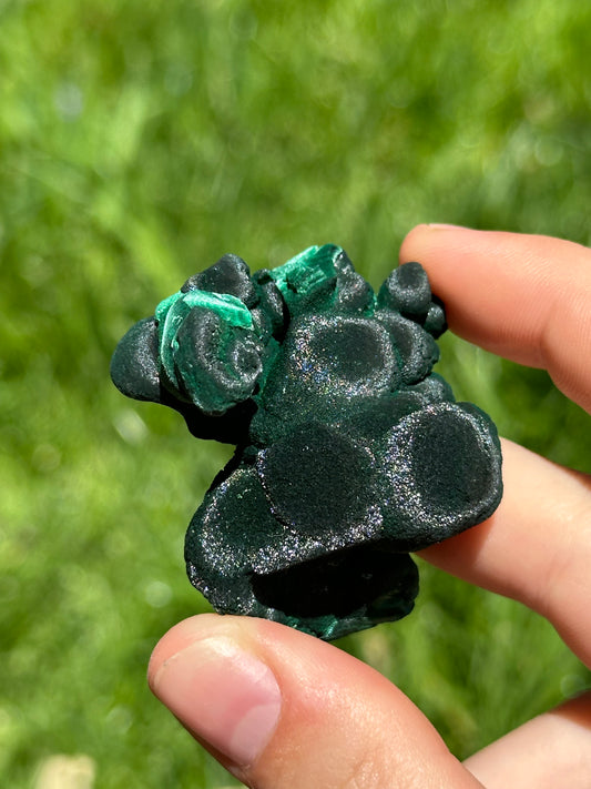 Velvet malachite