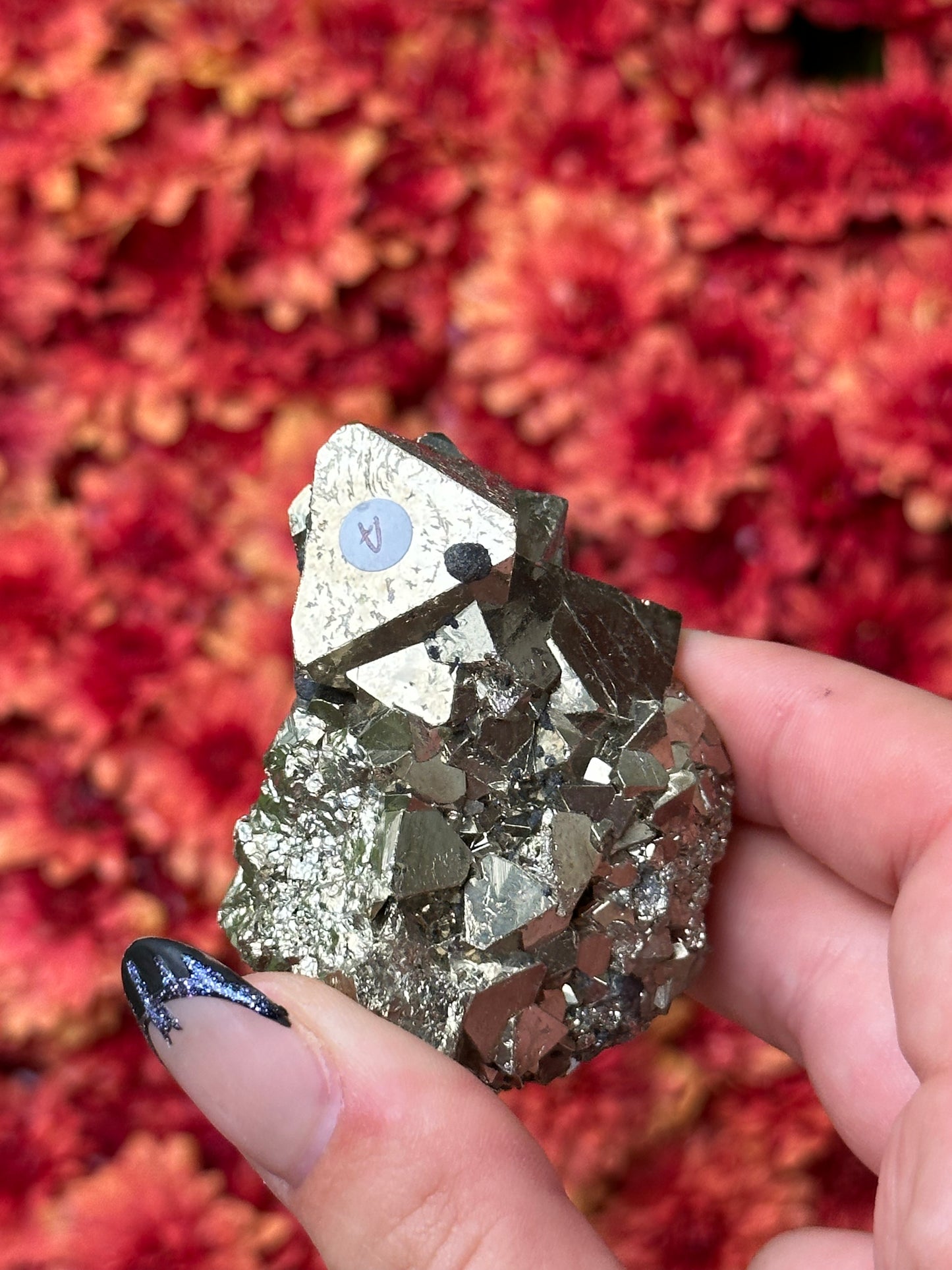 Octahedron Pyrite