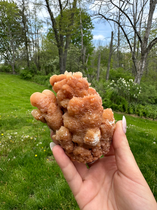 Coral Calcite