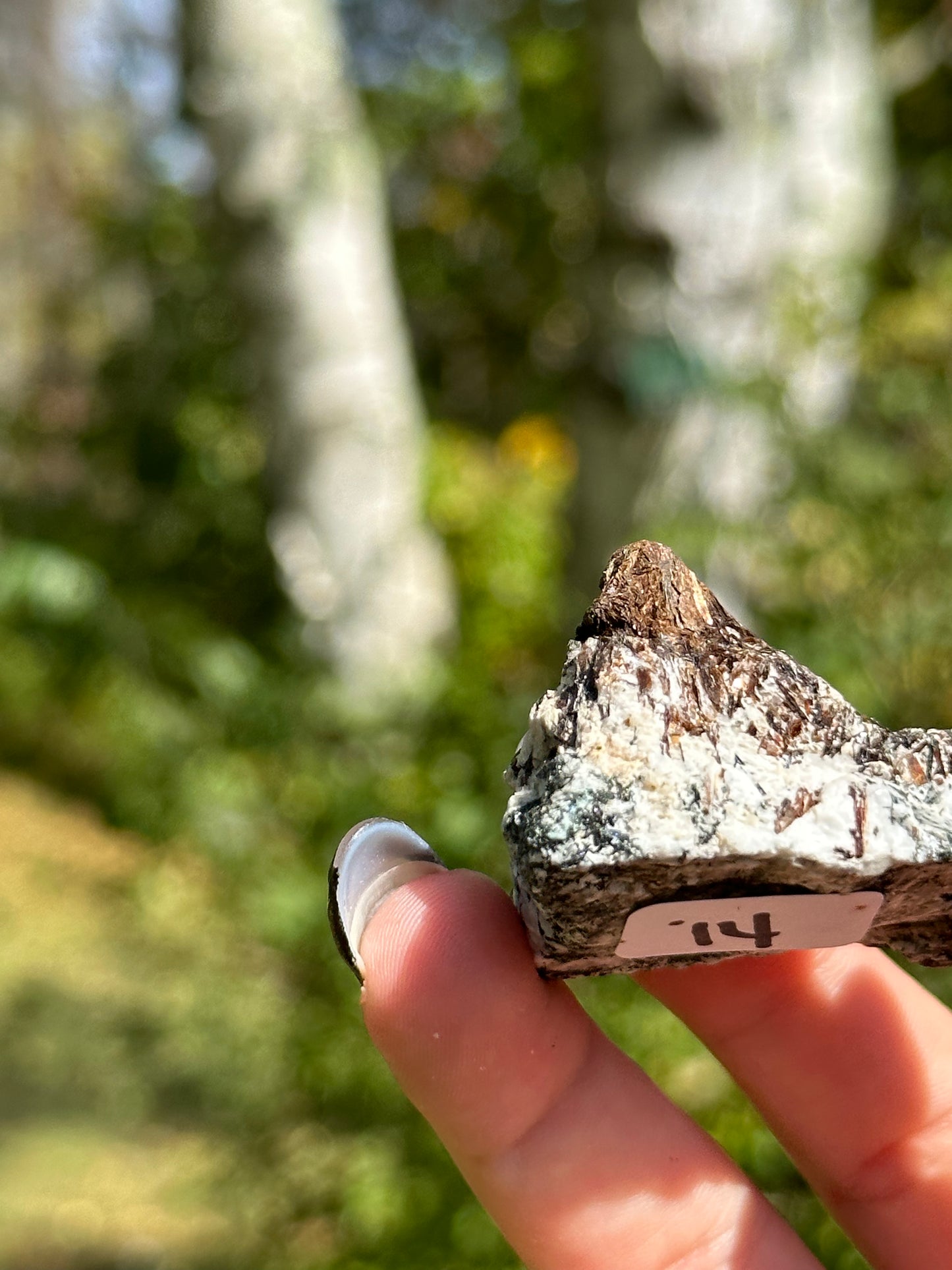 Astrophyllite