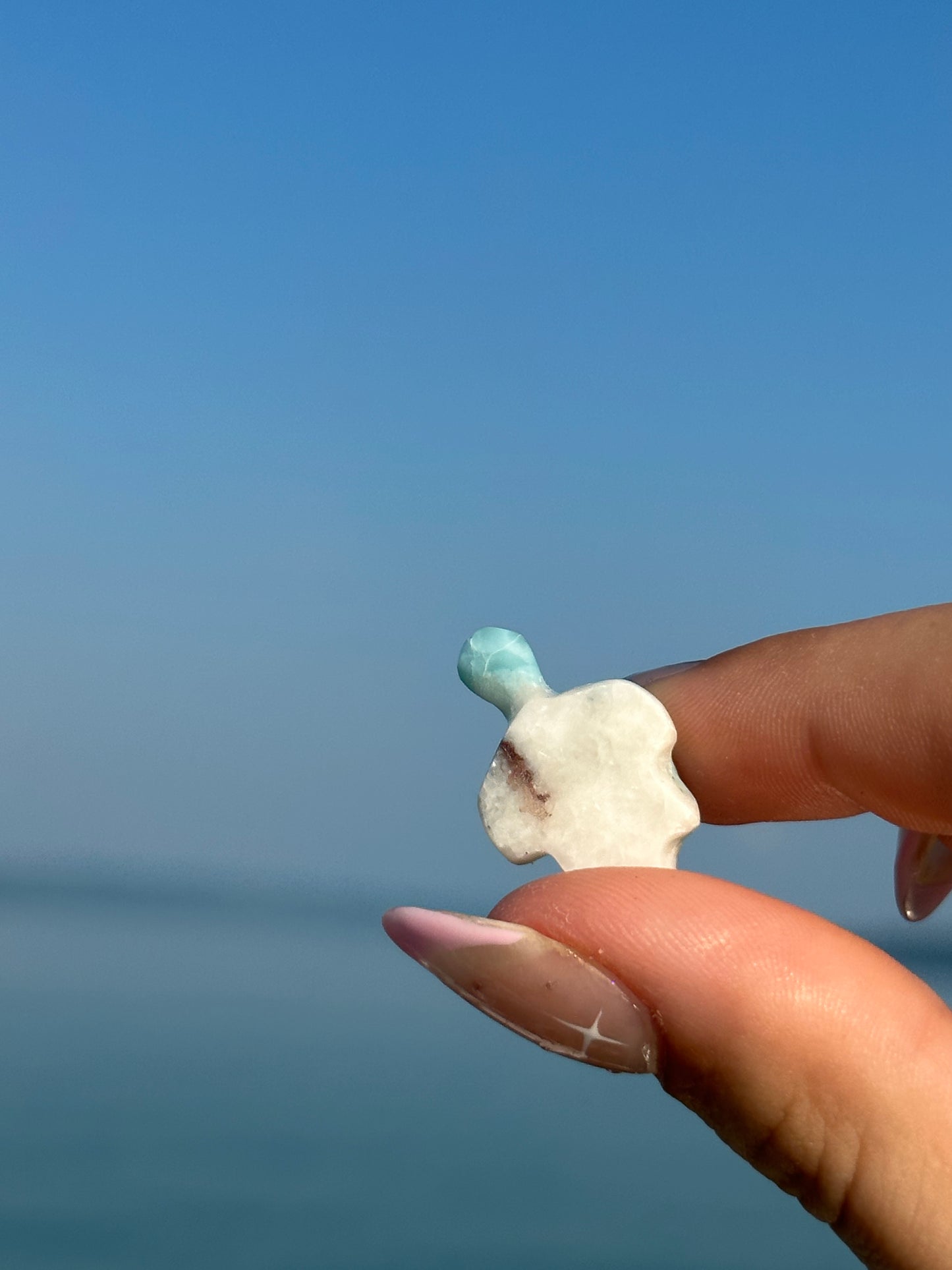 Larimar turtle
