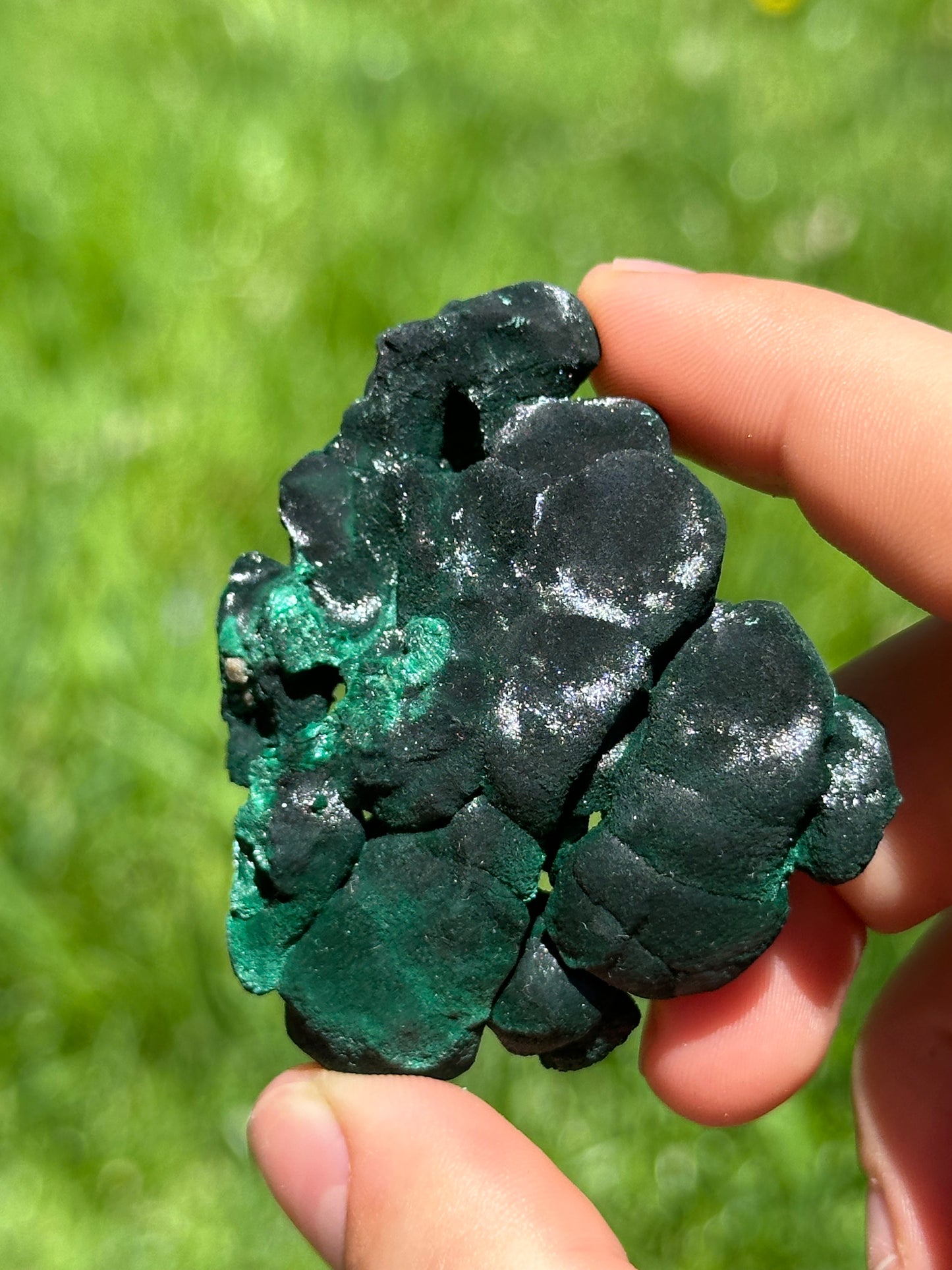 Velvet malachite