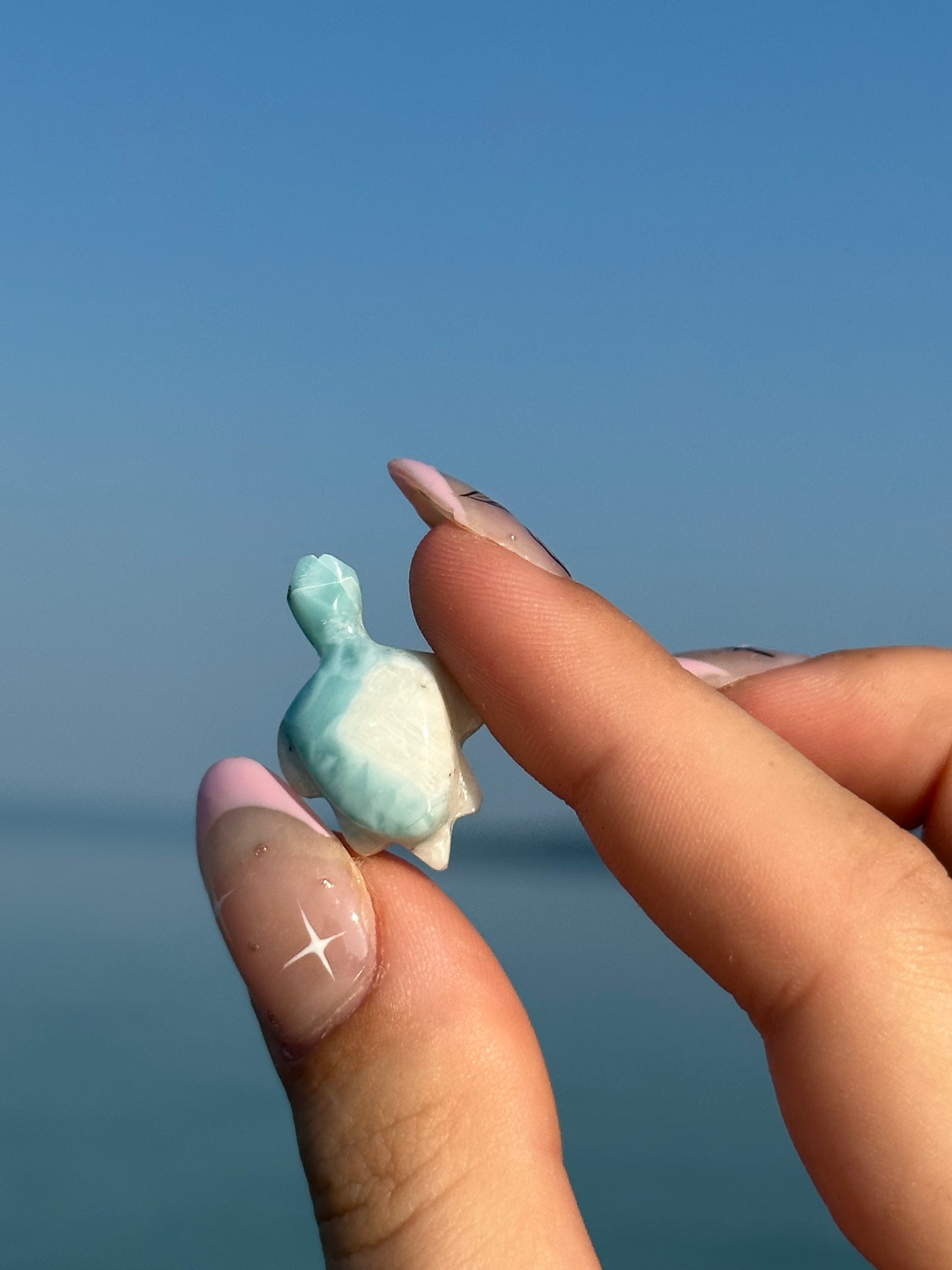 Larimar turtle