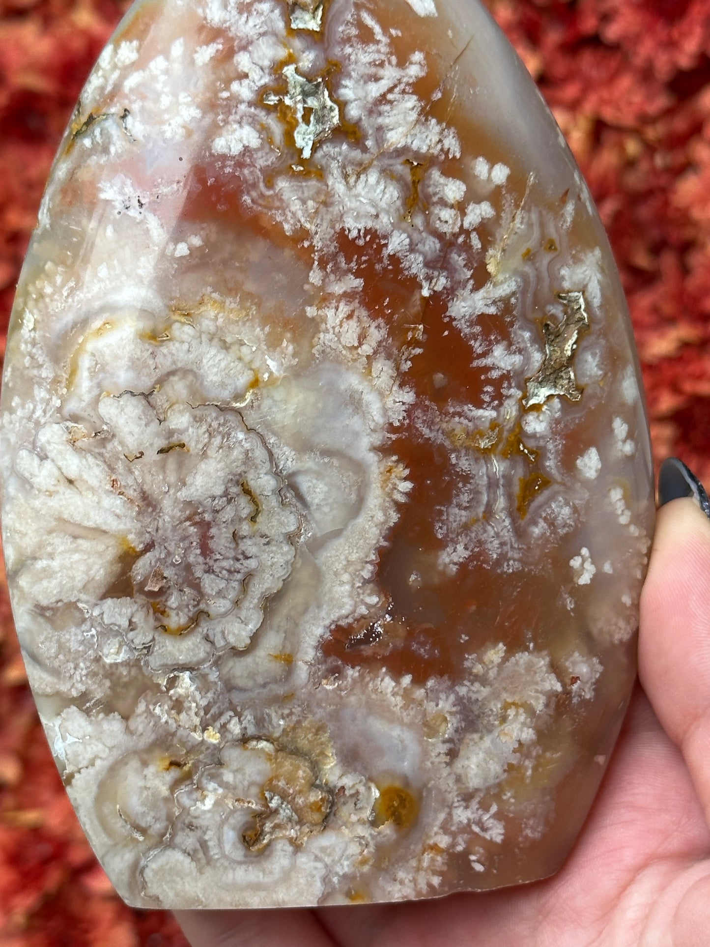 Flower Agate with Carnelian Freeform