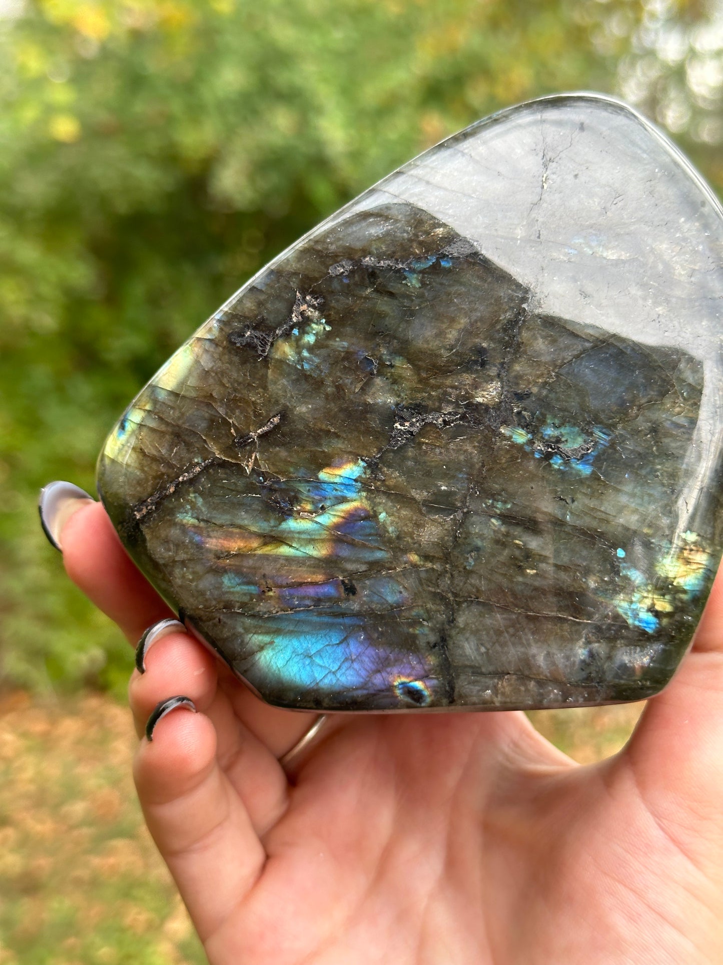 Labradorite Freeform