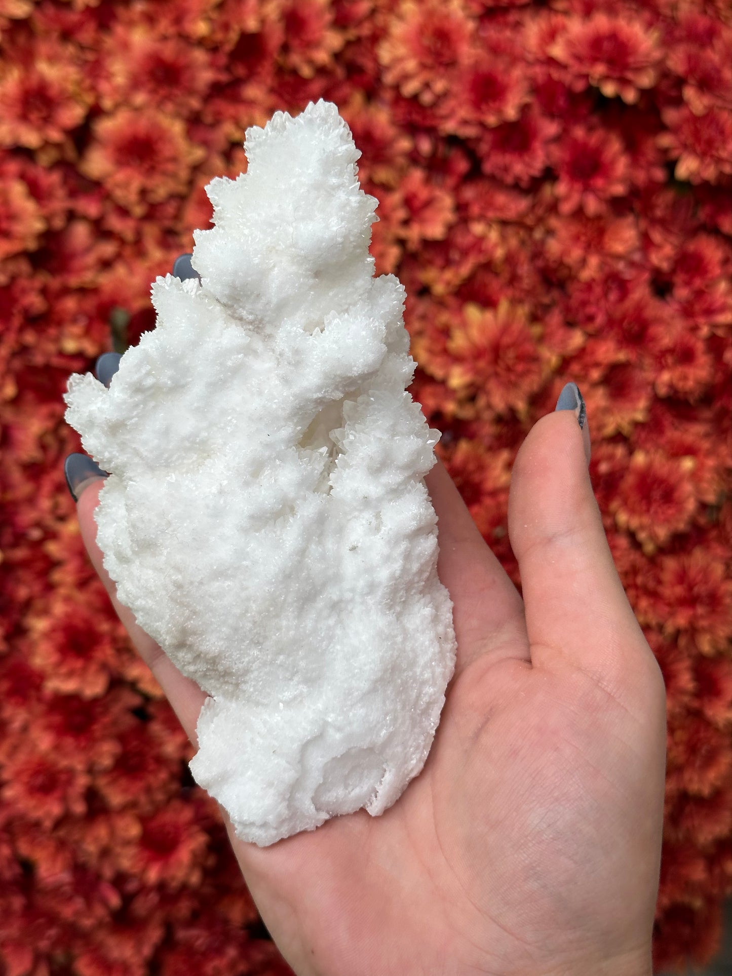 White Aragonite
