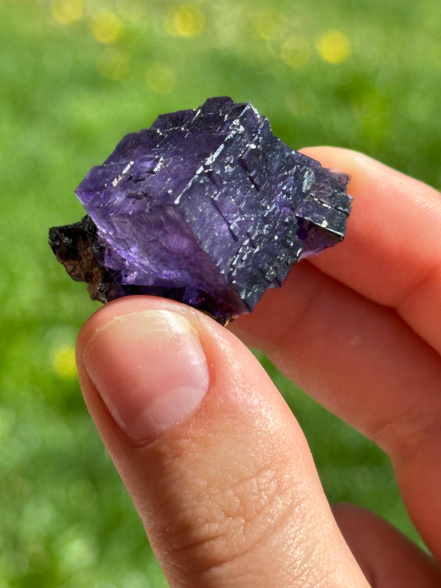 Elmwood fluorite