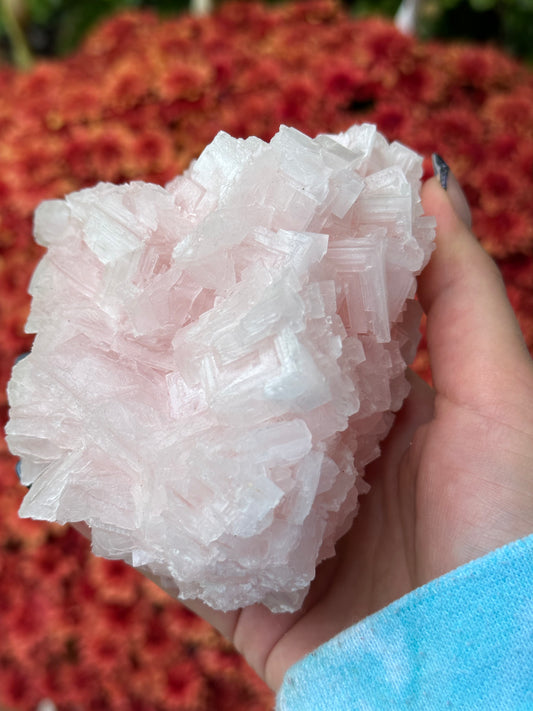 Pink Halite