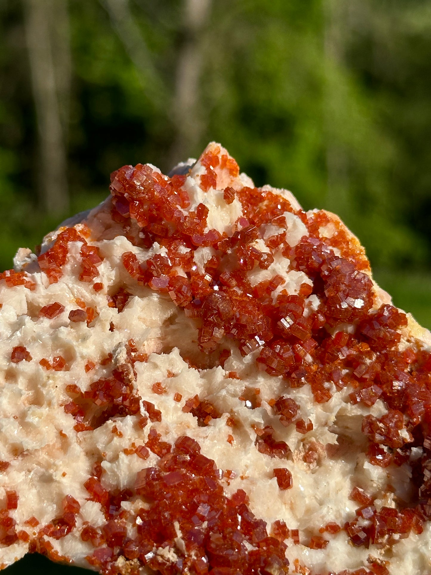 Vanadinite Specimens