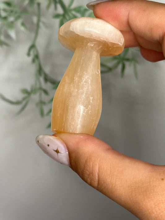 Peach Satin Spar Selenite Mushroom