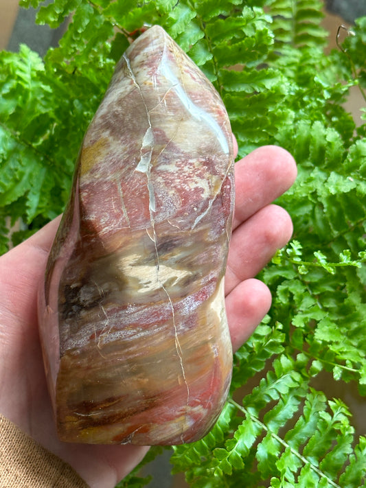 Petrified Wood Flame