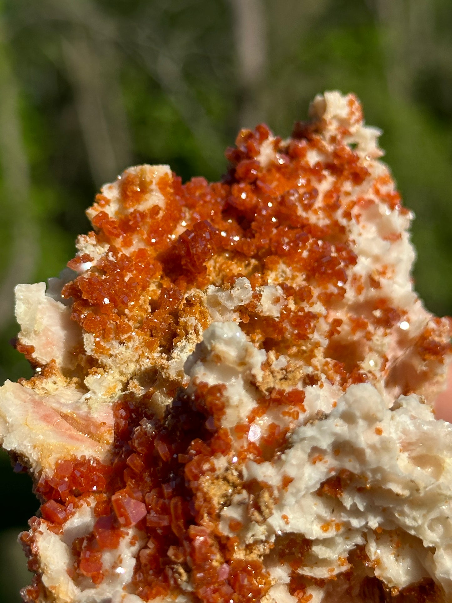 Vanadinite Specimens