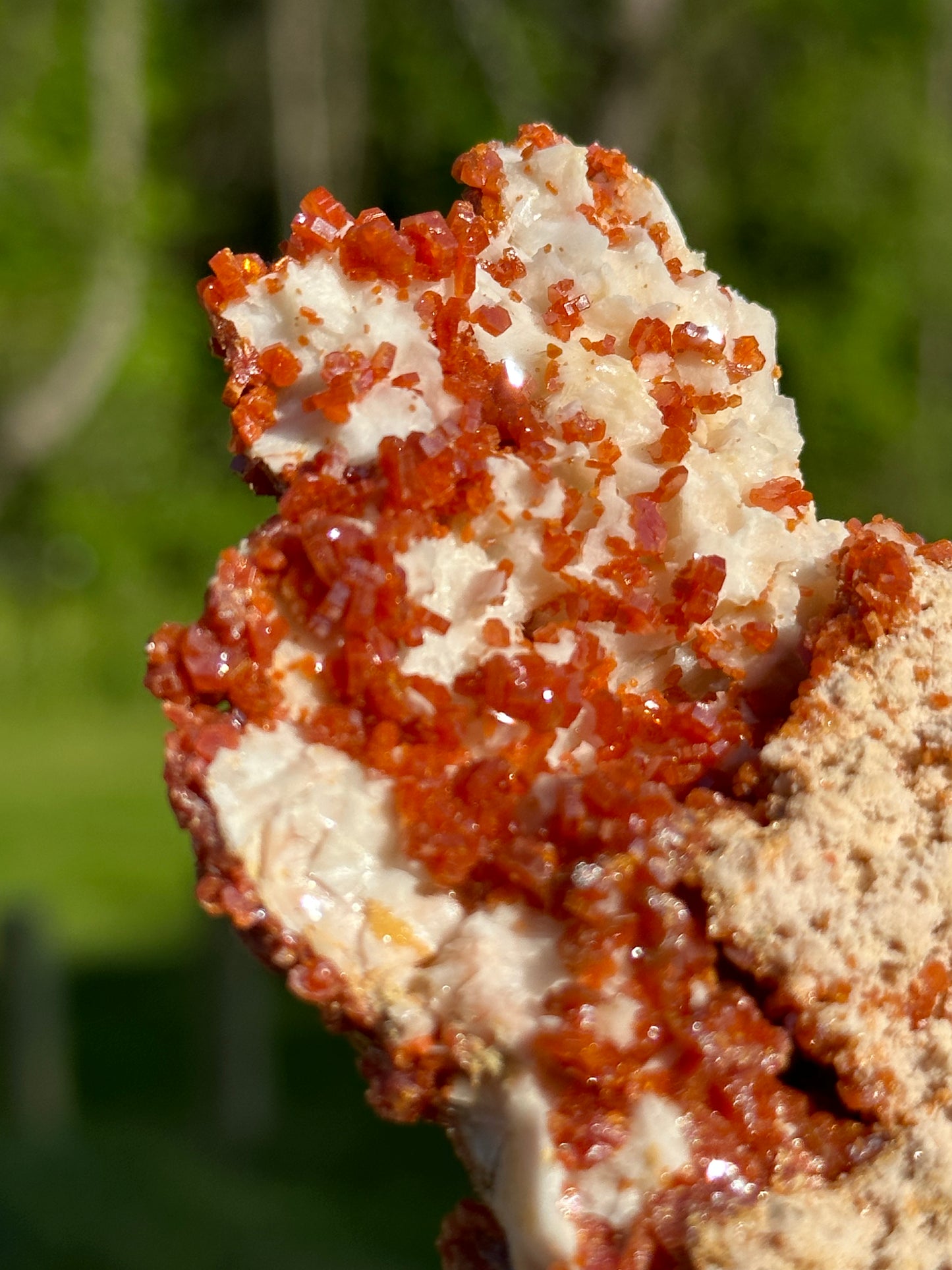Vanadinite Specimens