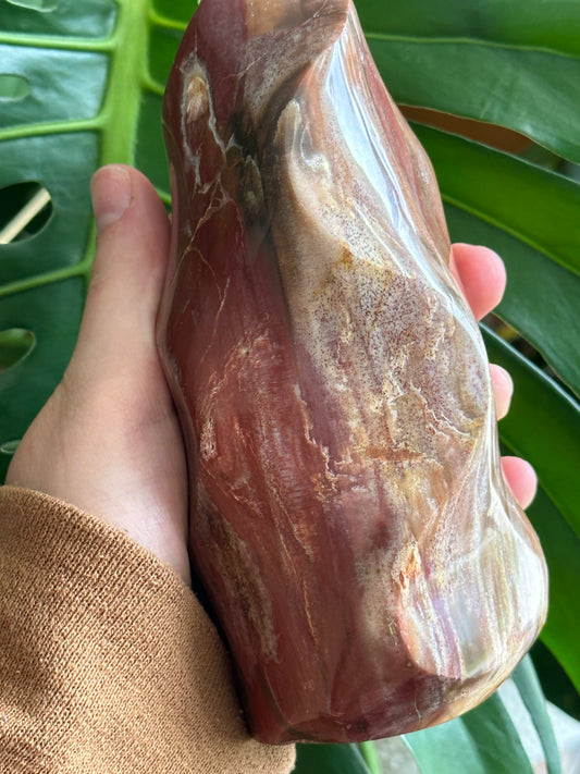 Petrified wood flame