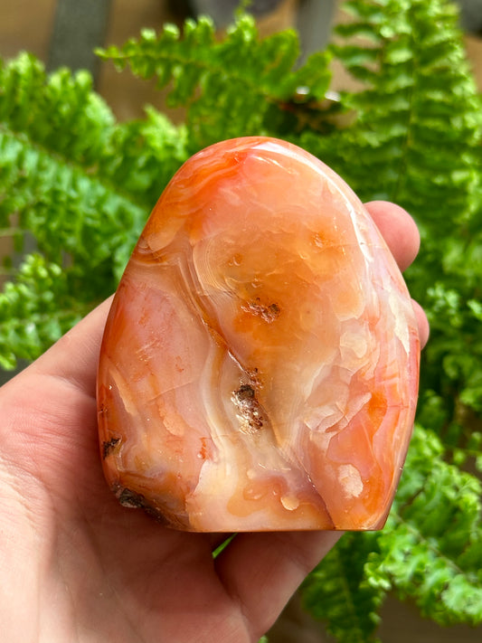 Carnelian Freeform