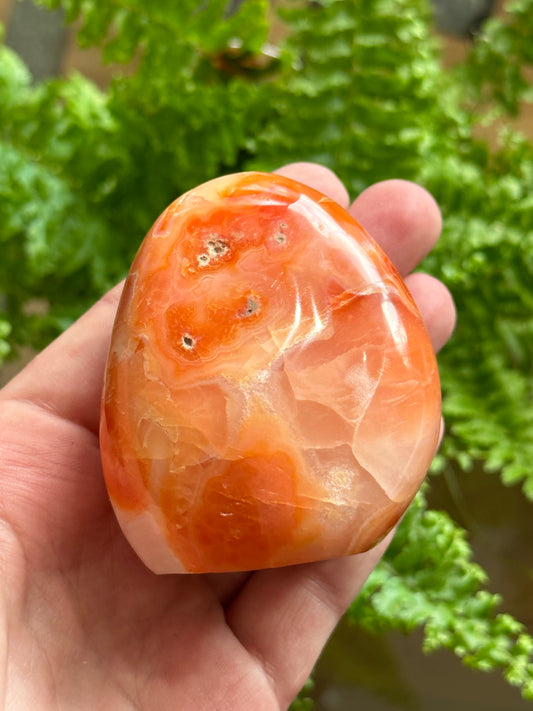 Carnelian Freeform