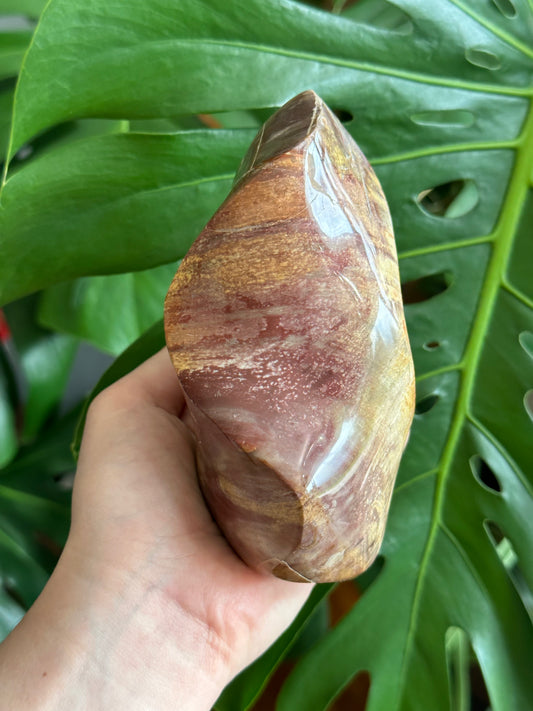 Petrified wood flame