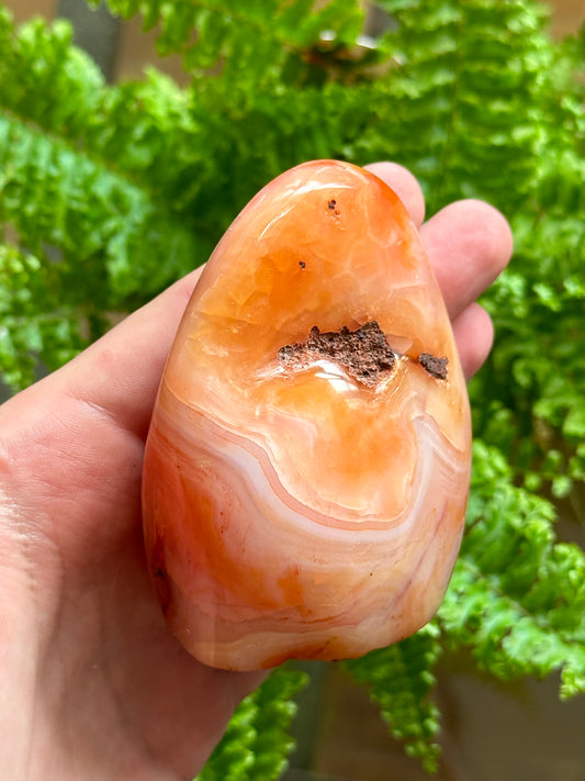 Carnelian Freeform