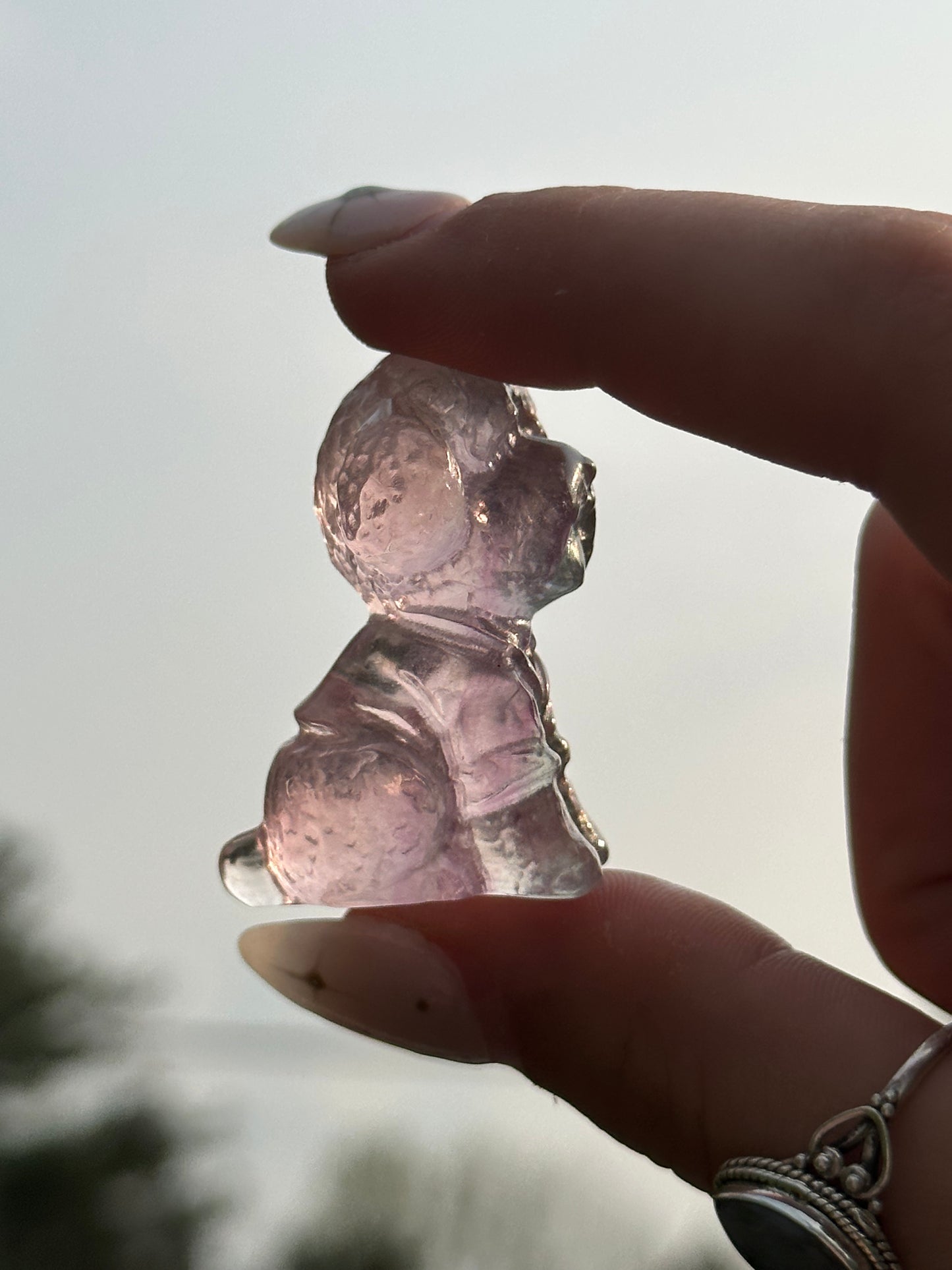 Fluorite Poodle