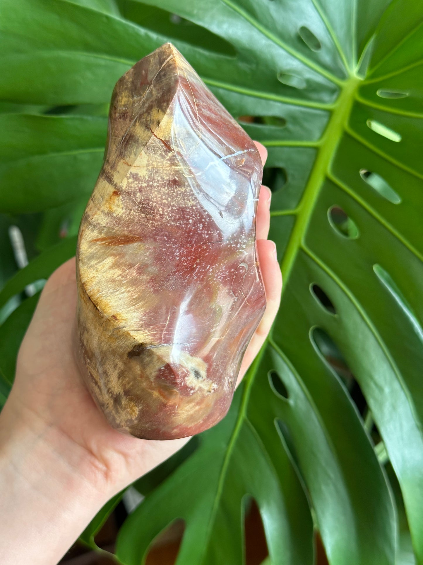 Petrified wood flame