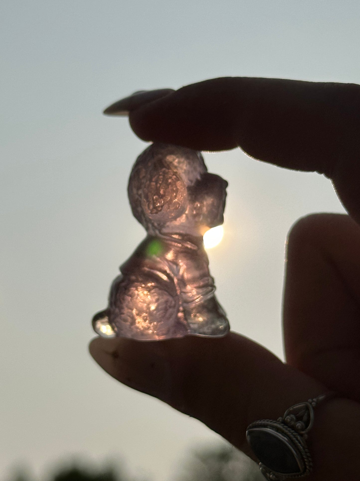Fluorite Poodle