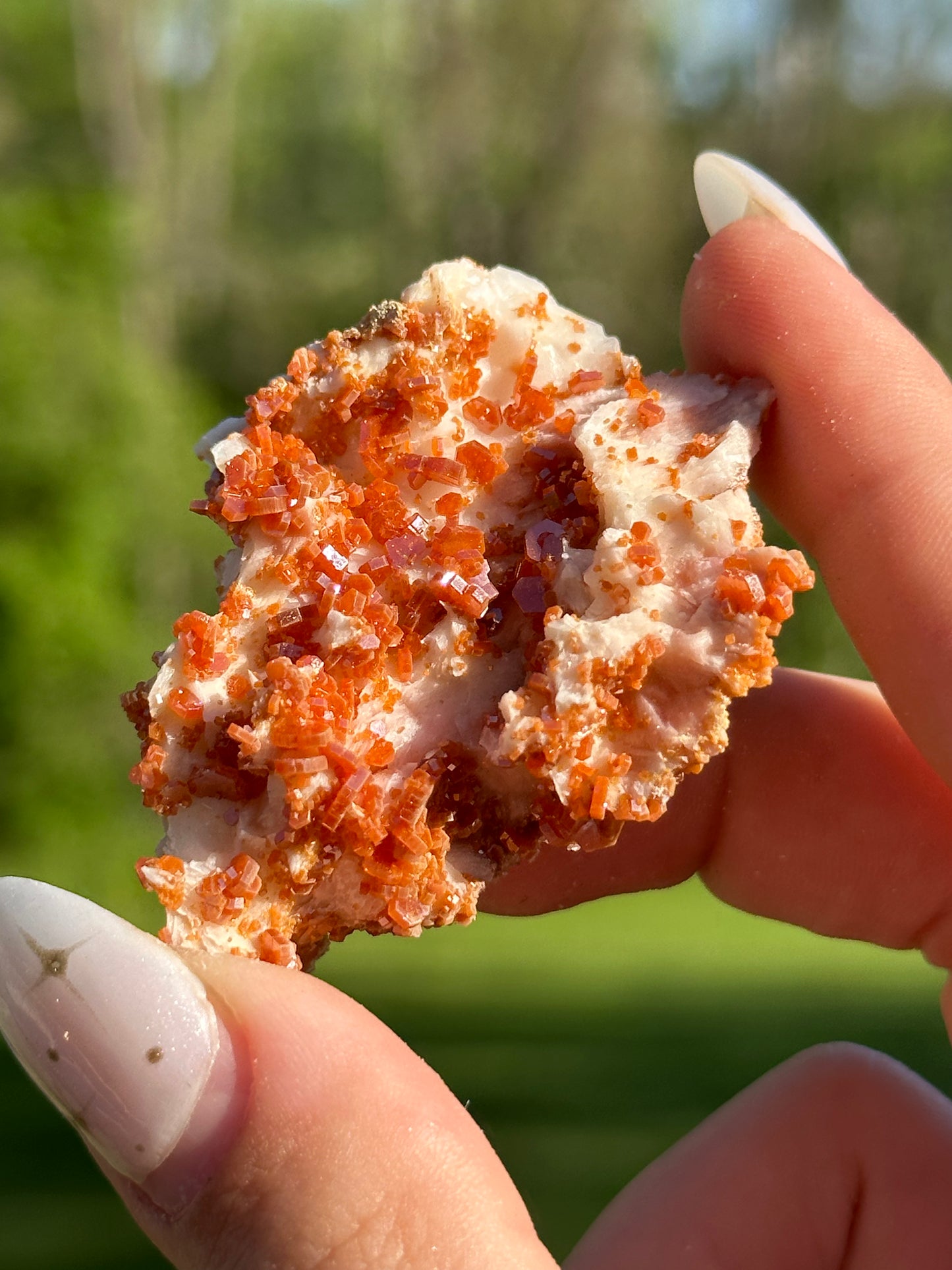 Vanadinite Specimens