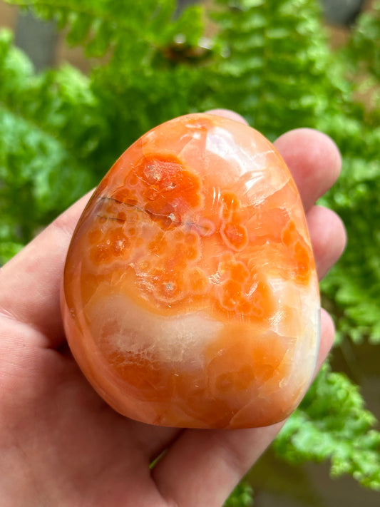 Carnelian Freeform