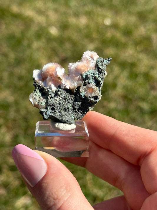 Thomsonite with White Mesolite