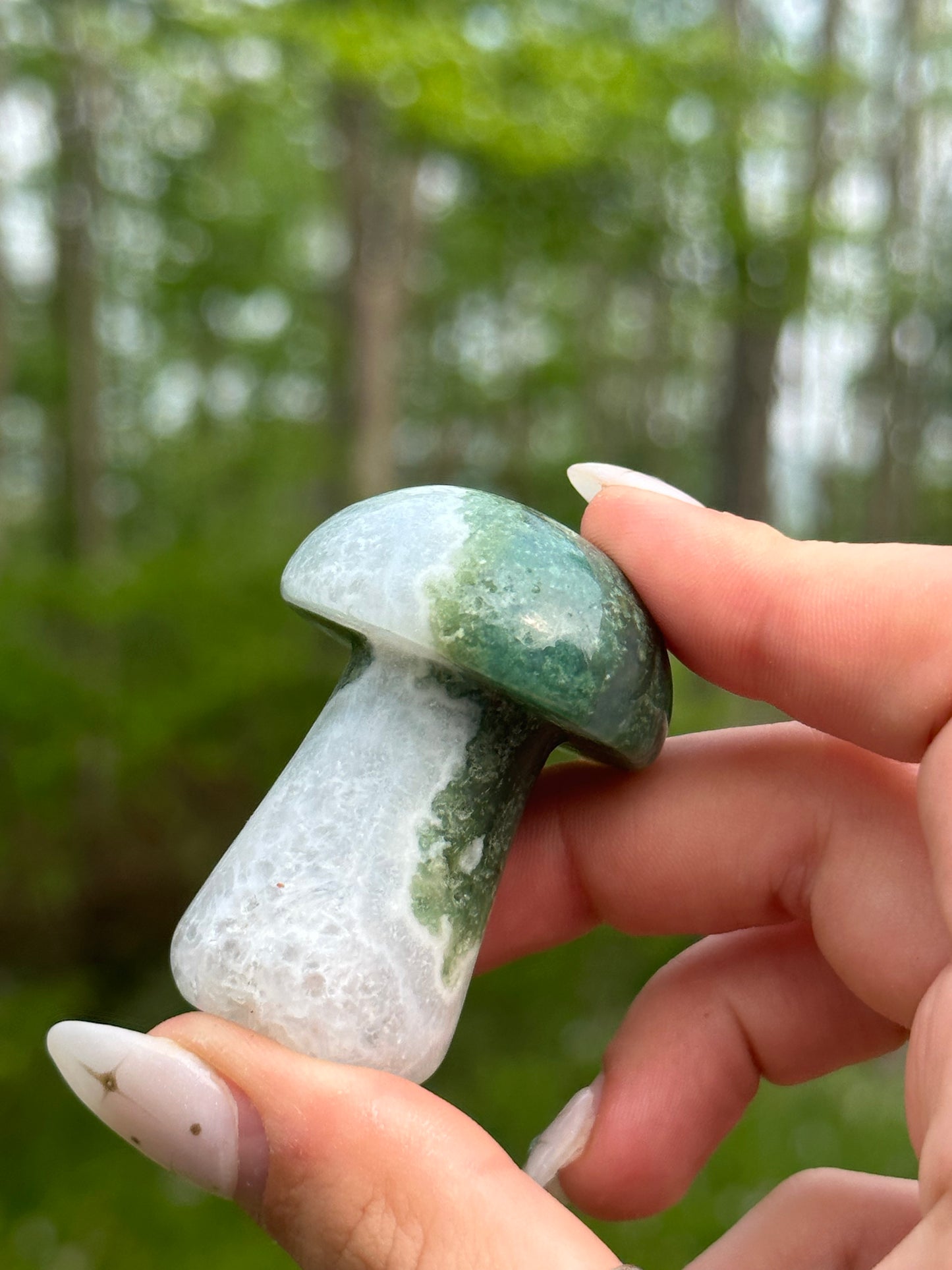 Moss Agate Mushroom