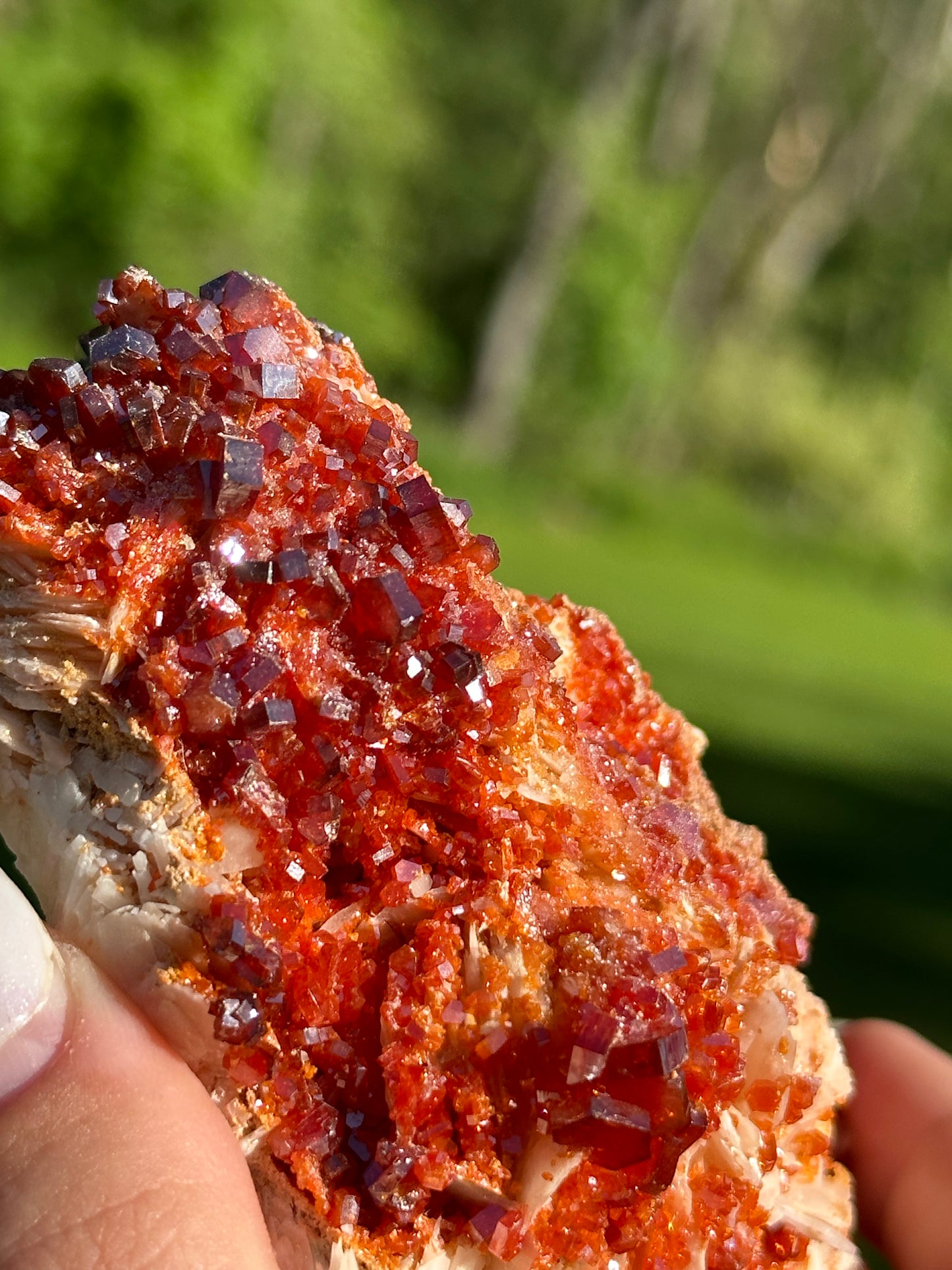 Vanadinite Specimens