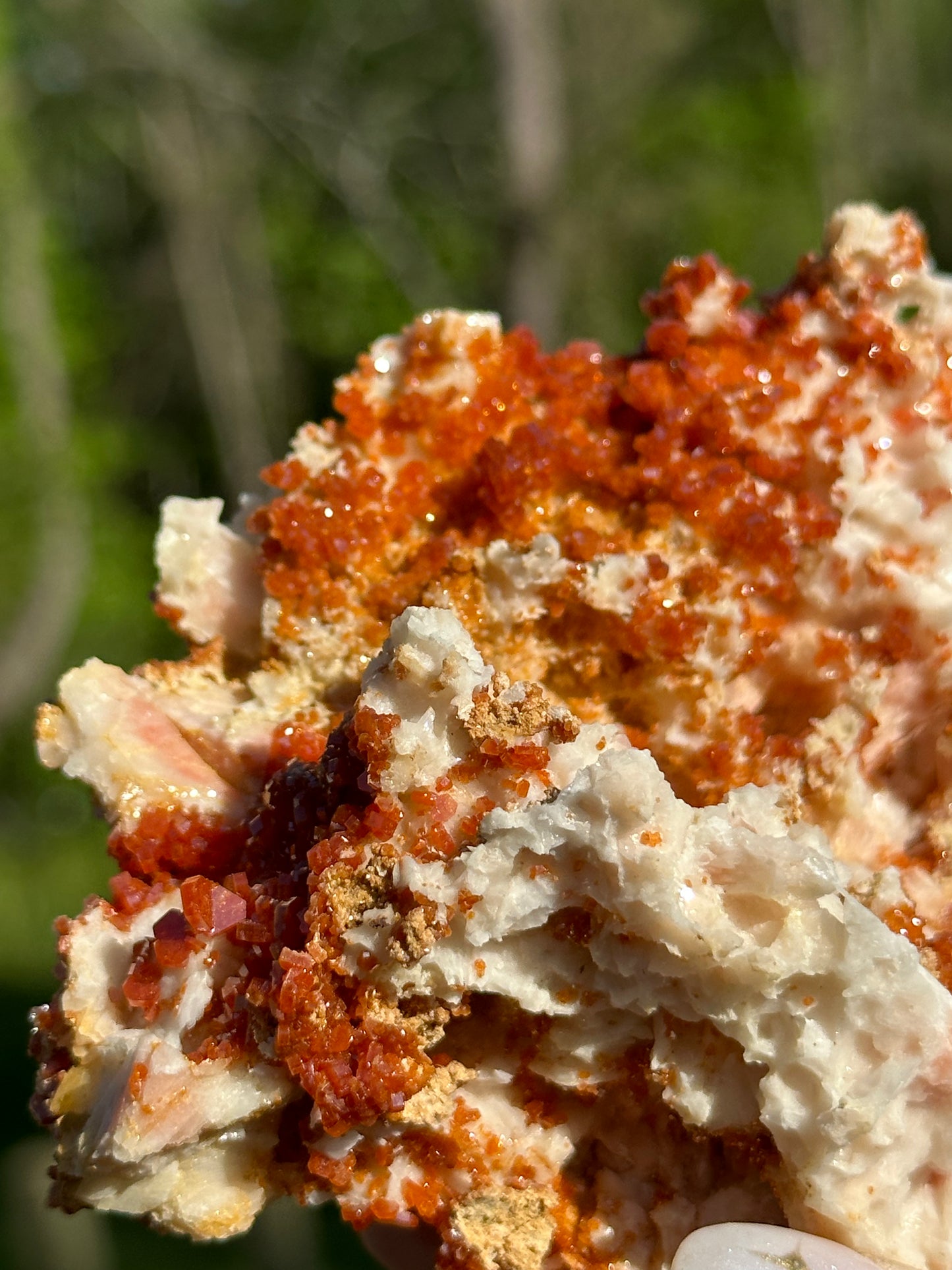 Vanadinite Specimens