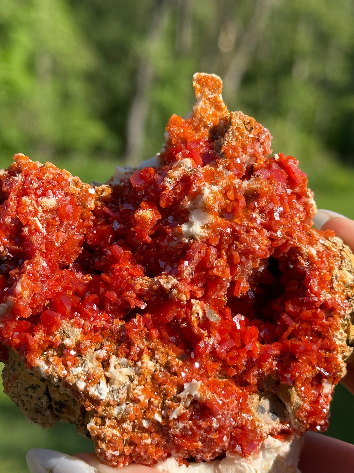 Vanadinite Specimens