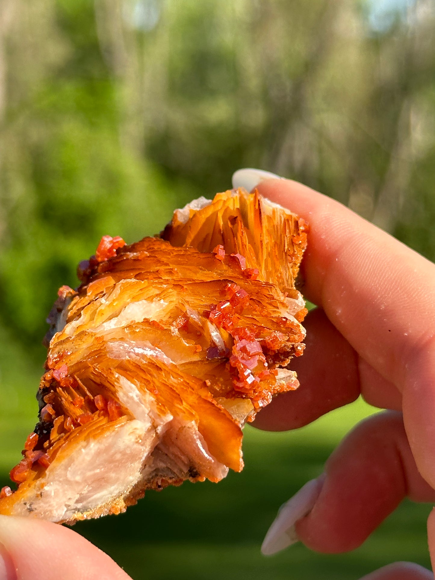 Vanadinite Specimens