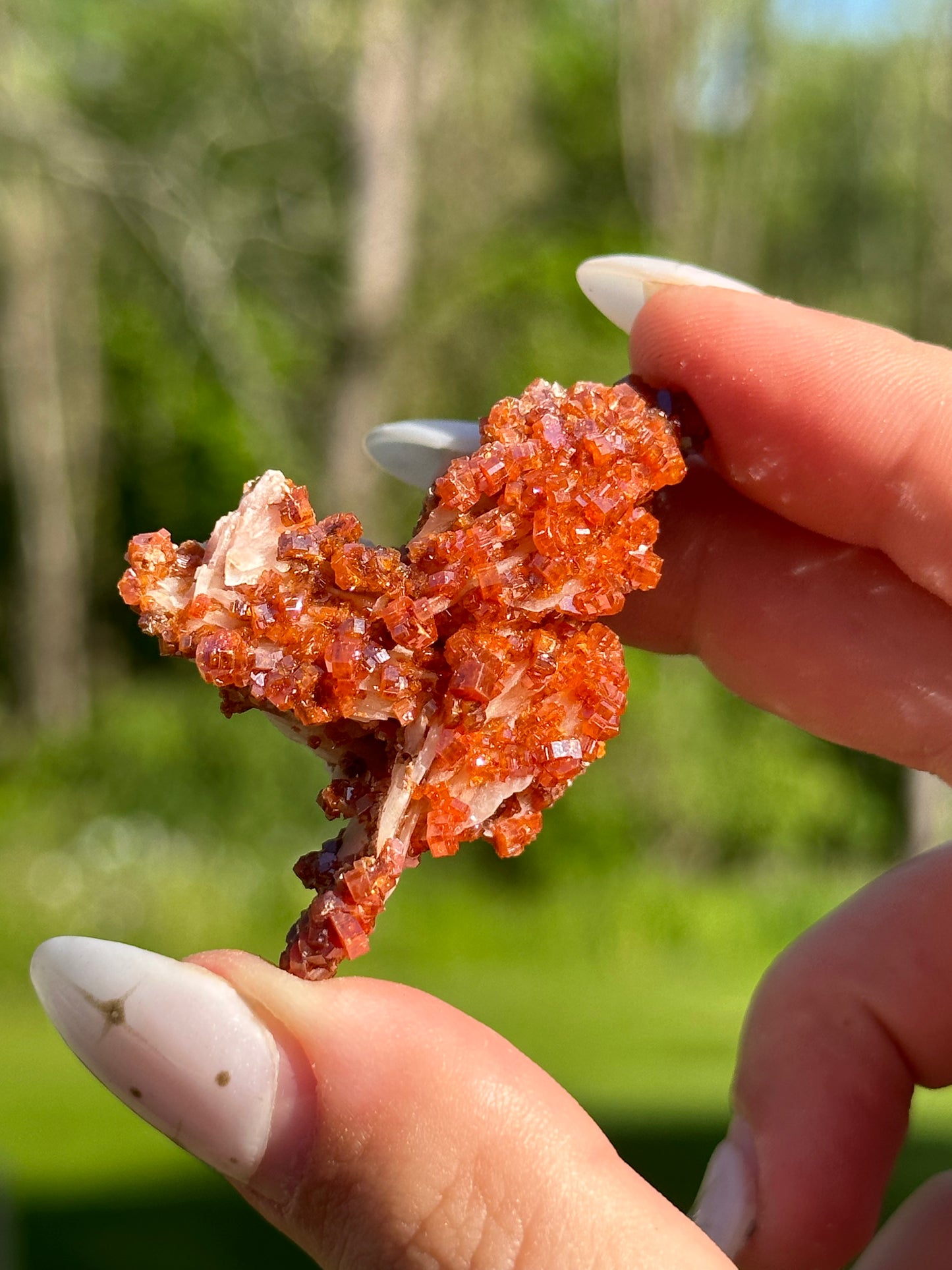 Vanadinite Specimens