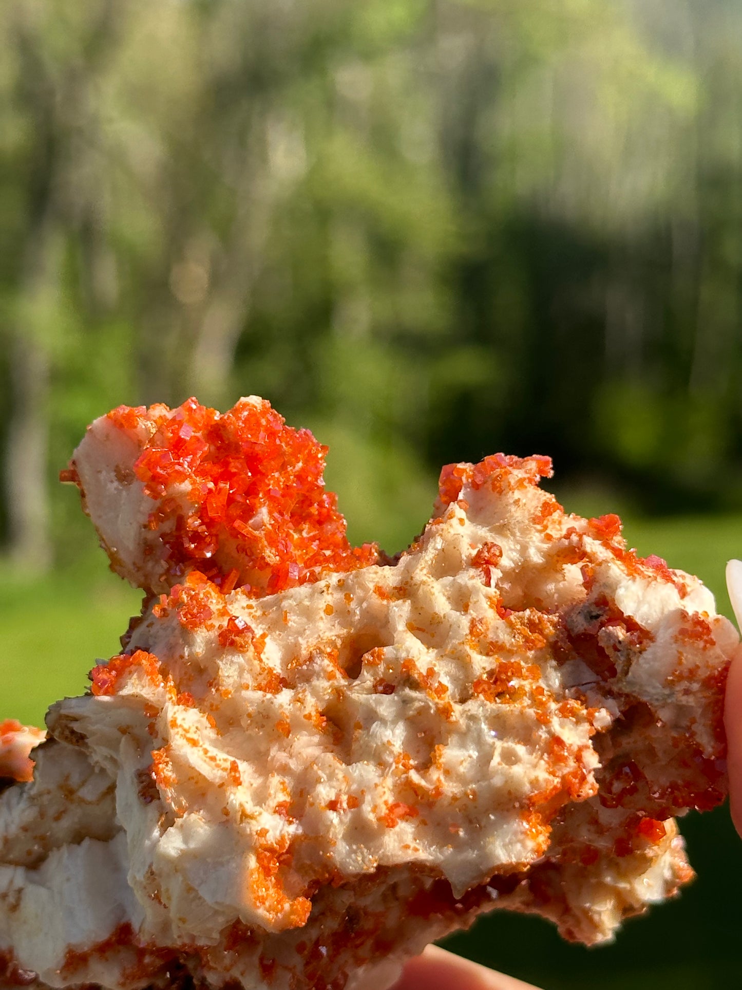 Vanadinite Specimens