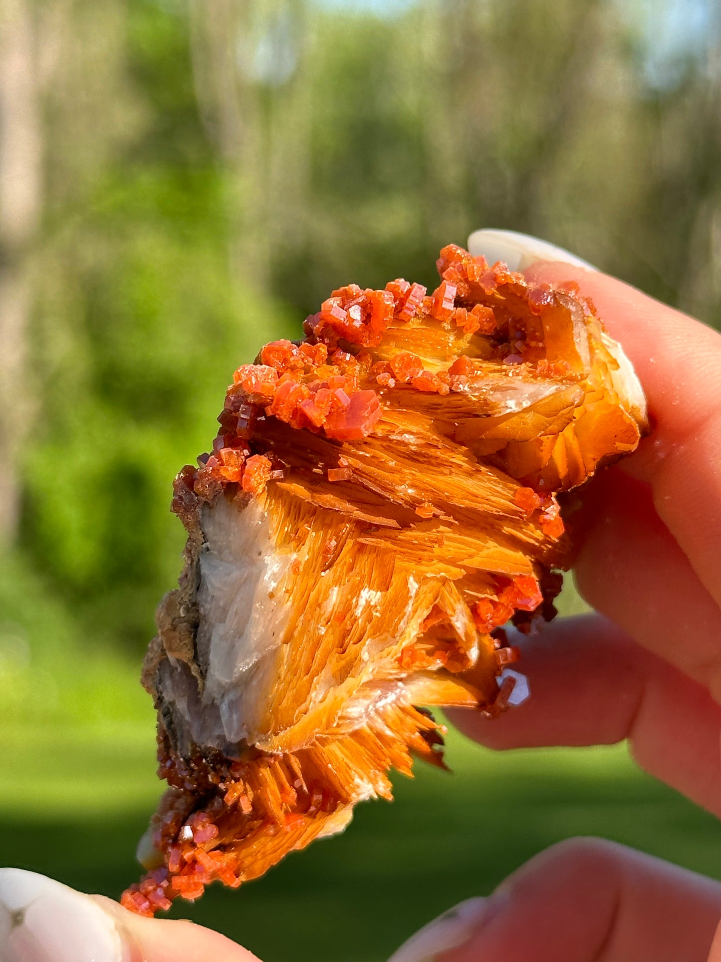 Vanadinite Specimens
