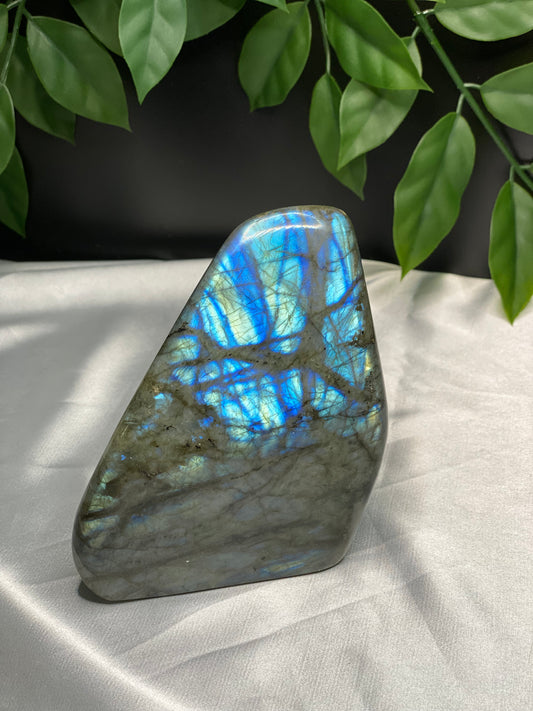 Labradorite Freeform