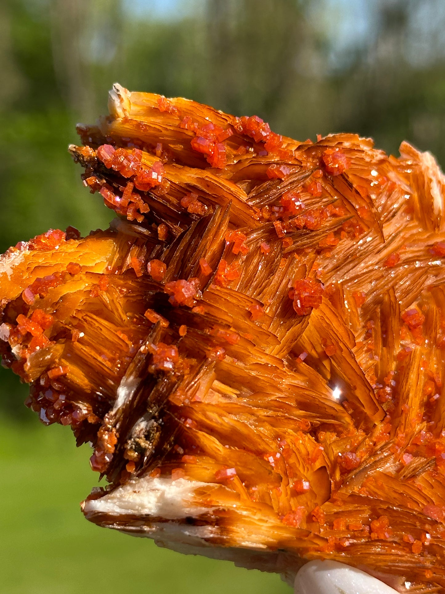 Vanadinite Specimens