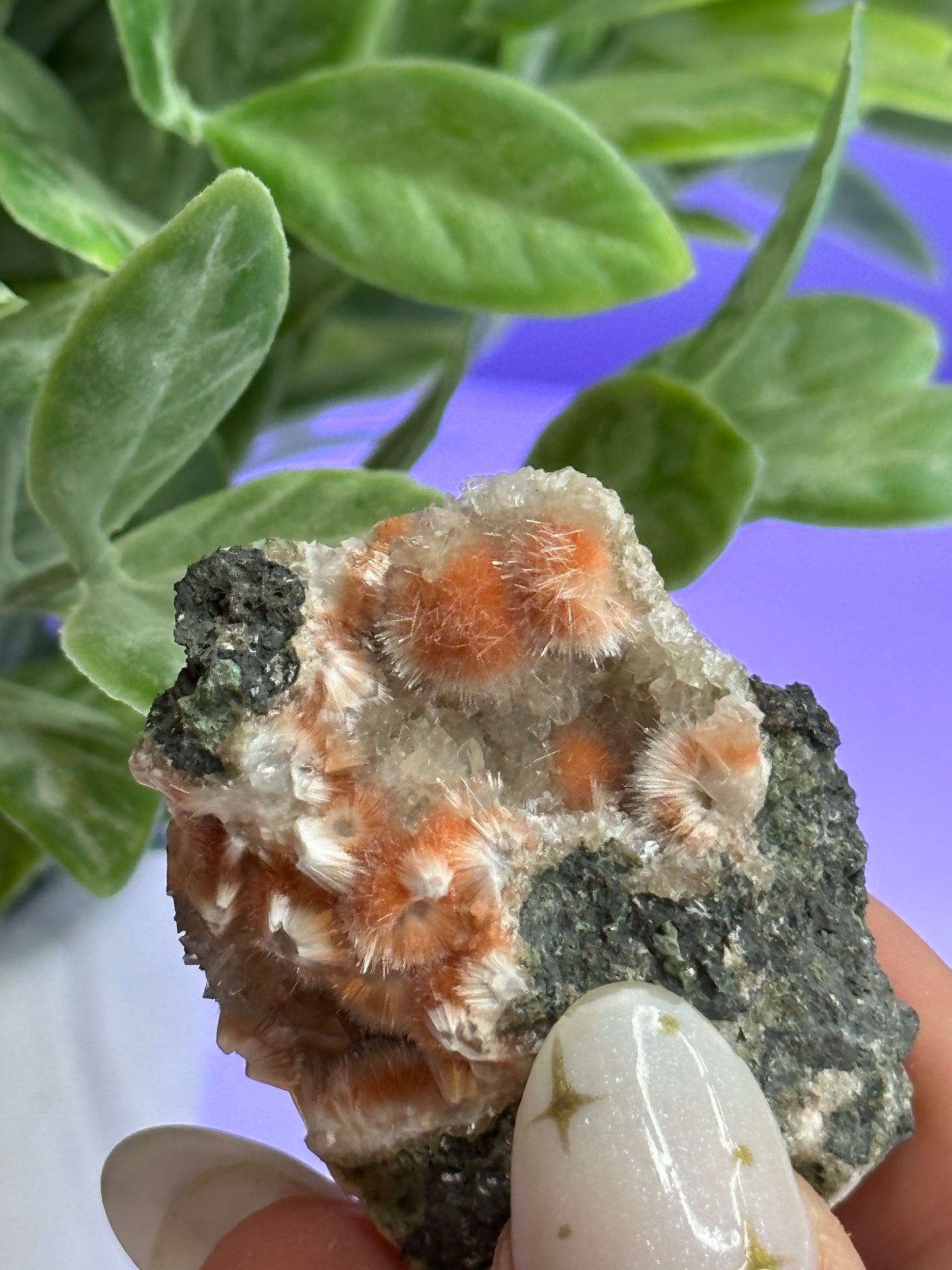 Thomsonite with White Mesolite