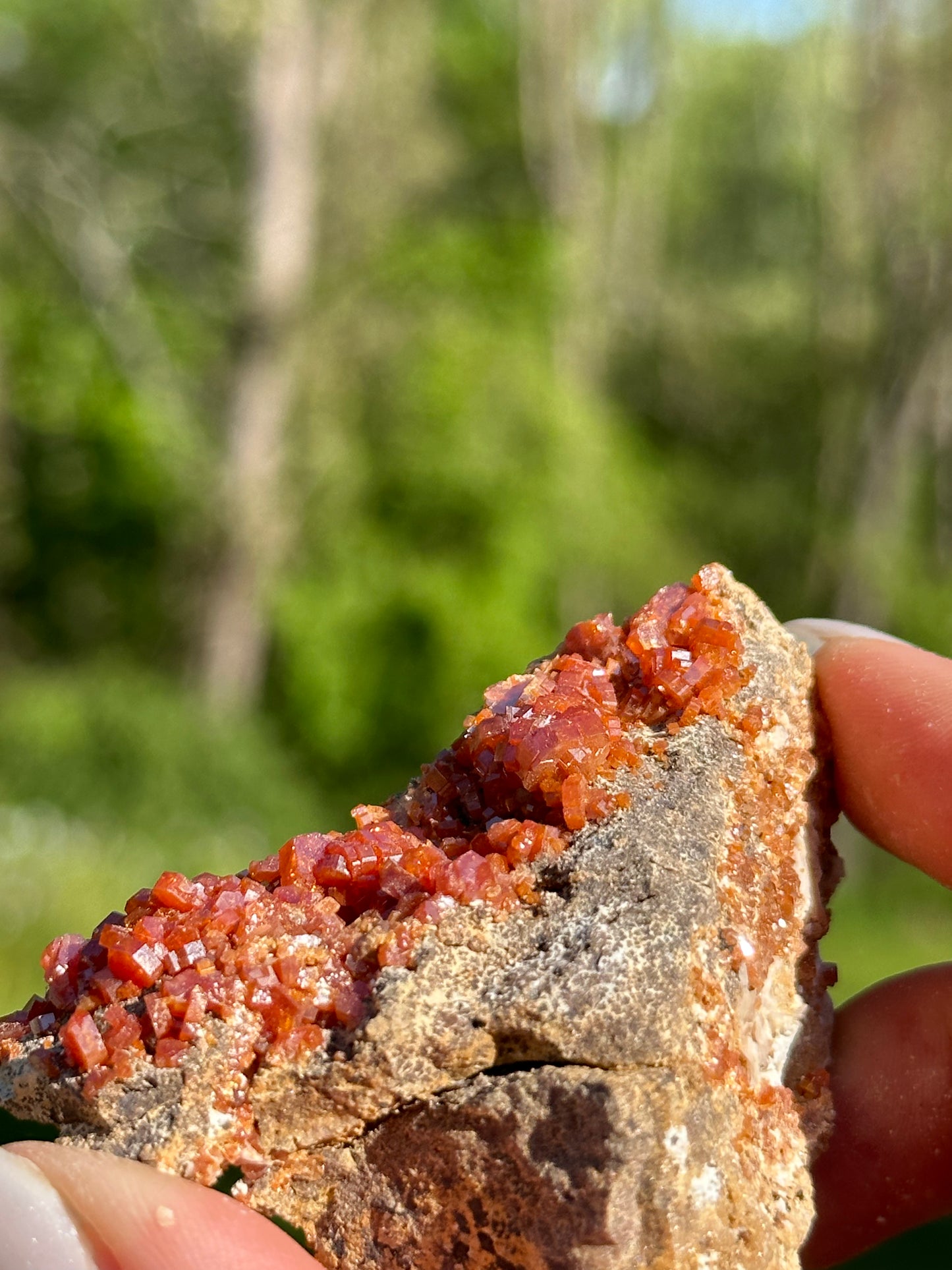 Vanadinite Specimens