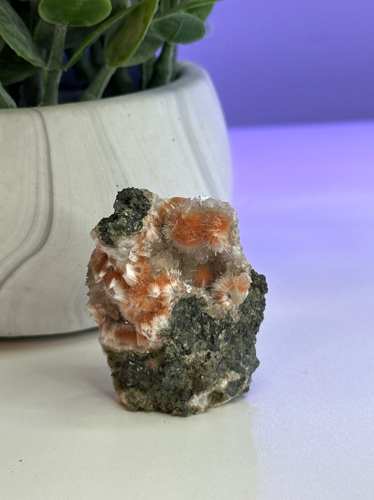 Thomsonite with White Mesolite