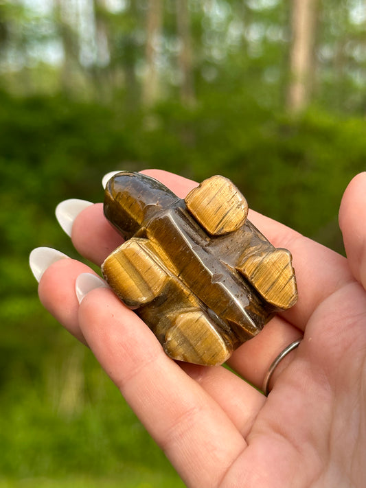 Tigers Eye Turtle