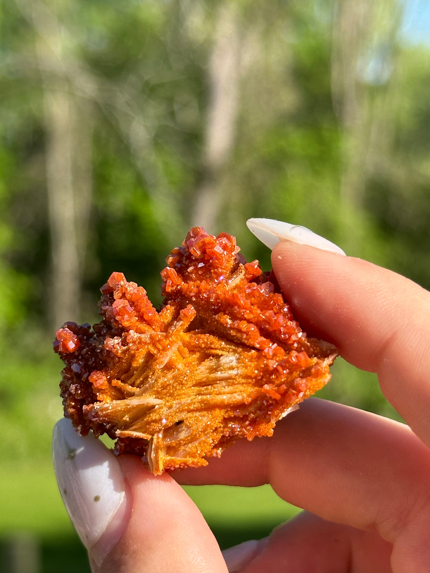 Vanadinite Specimens
