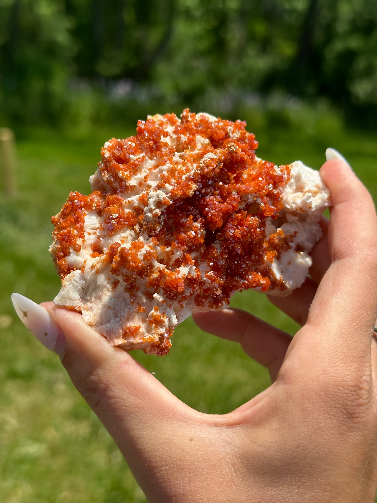 Vanadinite Specimens