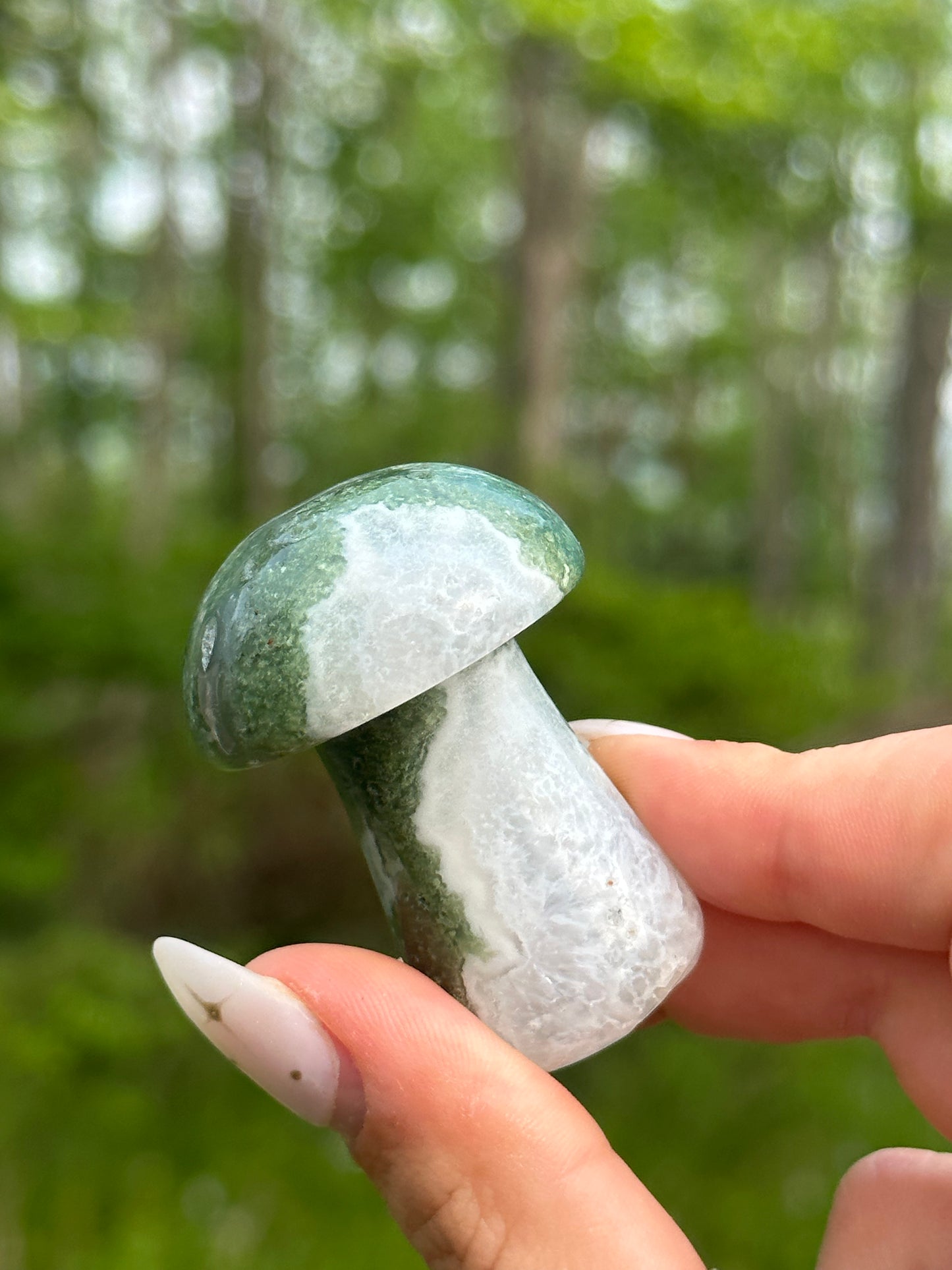 Moss Agate Mushroom