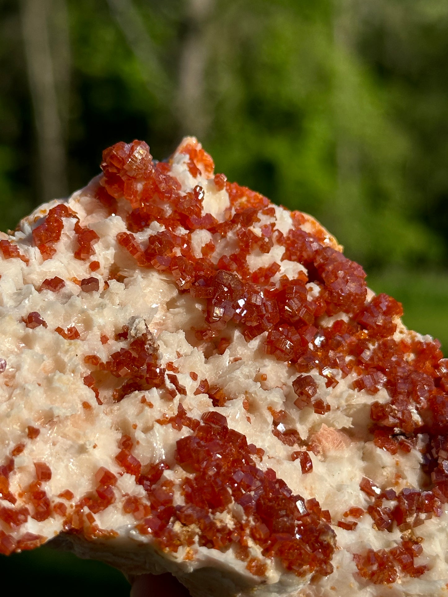 Vanadinite Specimens