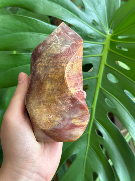 Petrified wood flame