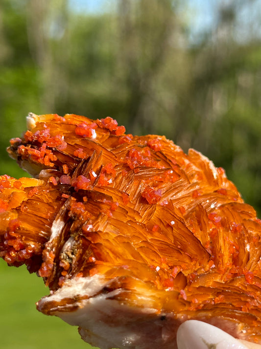 Vanadinite Specimens